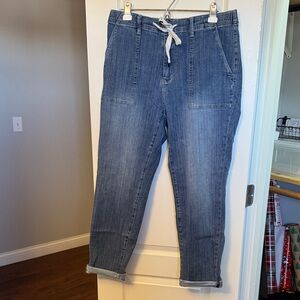 Judy Blue Denim Joggers